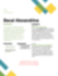 Cv Preview
