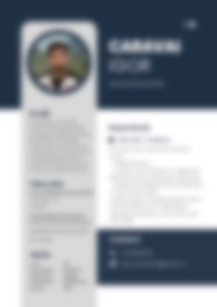 Cv Preview