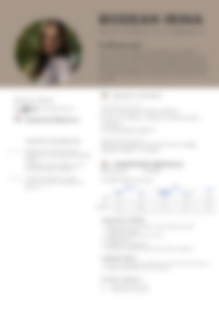 Cv Preview
