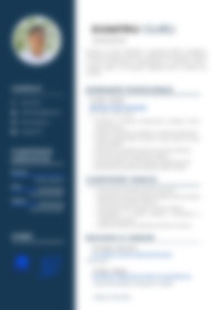 Cv Preview