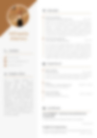 Cv Preview