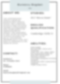 Cv Preview