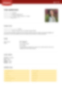 Cv Preview