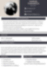 Cv Preview