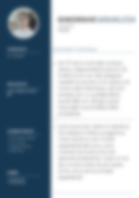 Cv Preview