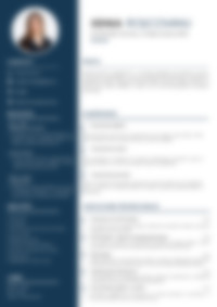Cv Preview