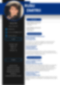 Cv Preview