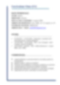 Cv Preview