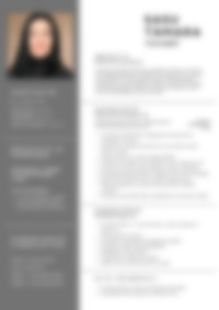 Cv Preview