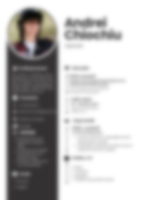 Cv Preview