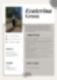 Cv Preview