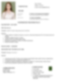 Cv Preview