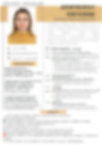 Cv Preview