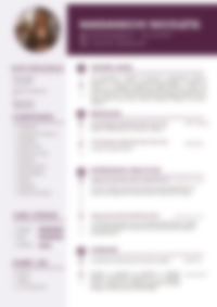 Cv Preview