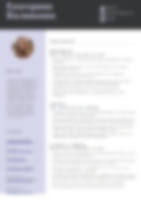 Cv Preview