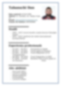 Cv Preview