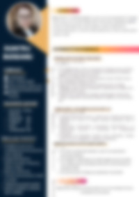 Cv Preview