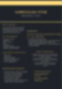 Cv Preview