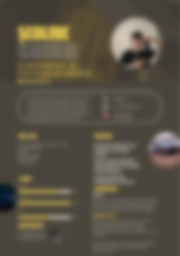 Cv Preview