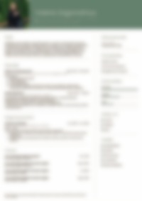 Cv Preview
