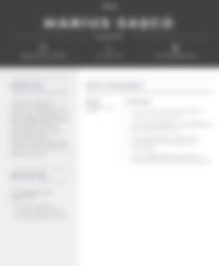 Cv Preview