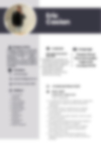 Cv Preview