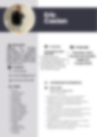 Cv Preview