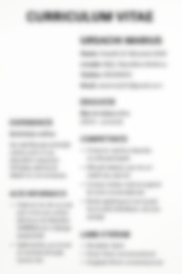 Cv Preview