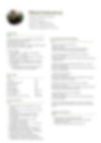 Cv Preview