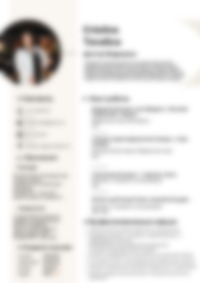 Cv Preview