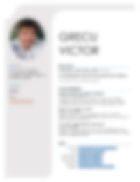 Cv Preview
