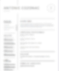 Cv Preview