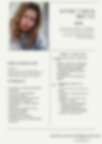 Cv Preview