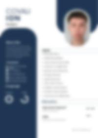 Cv Preview