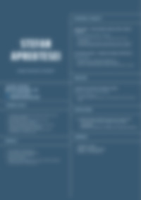 Cv Preview
