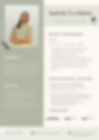 Cv Preview