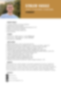 Cv Preview