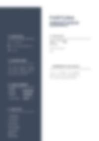 Cv Preview