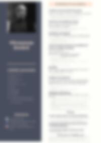 Cv Preview