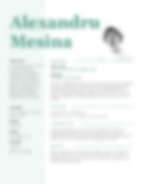 Cv Preview