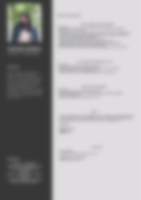 Cv Preview