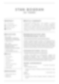 Cv Preview