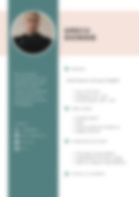 Cv Preview