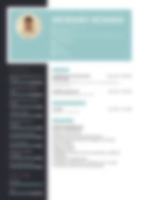 Cv Preview