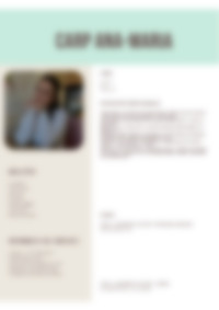 Cv Preview