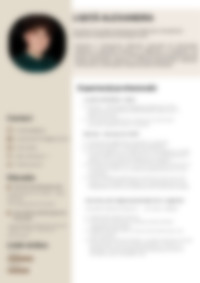 Cv Preview