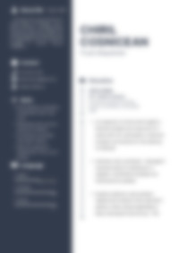 Cv Preview