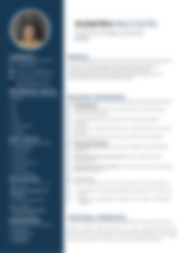 Cv Preview