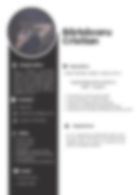 Cv Preview