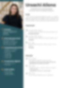 Cv Preview